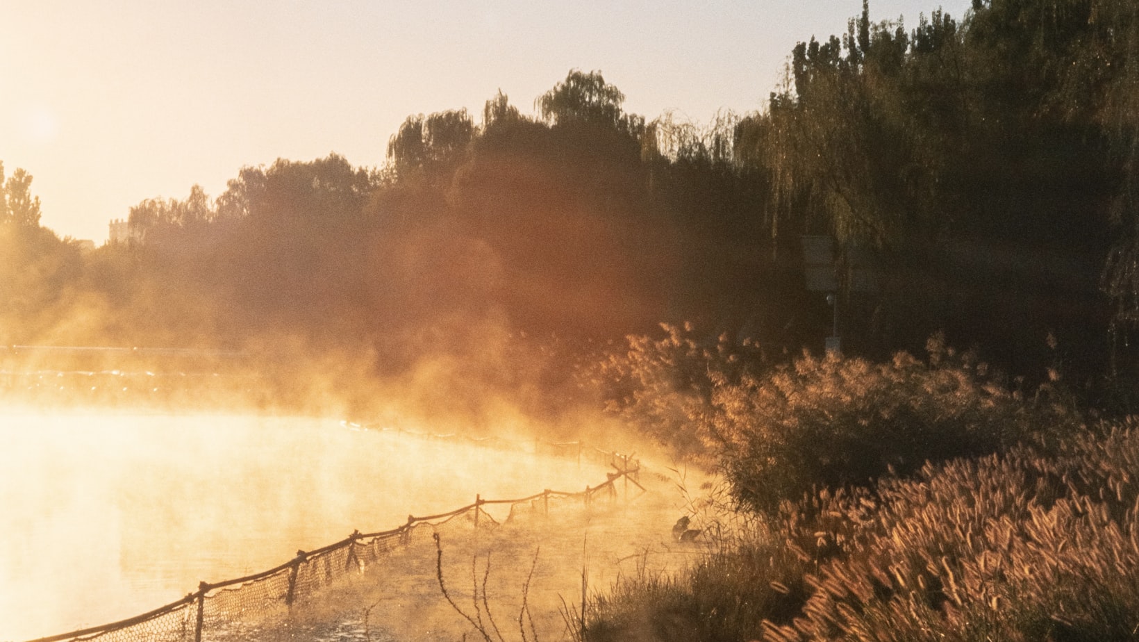 Lac dans la brume au lever du soleil